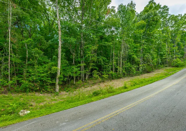Photo 3 of Land for sale at 1005 Tanya Dr, Whitwell, TN 37397 | MLS# 1542385 | Listing updated on 2026-09-08