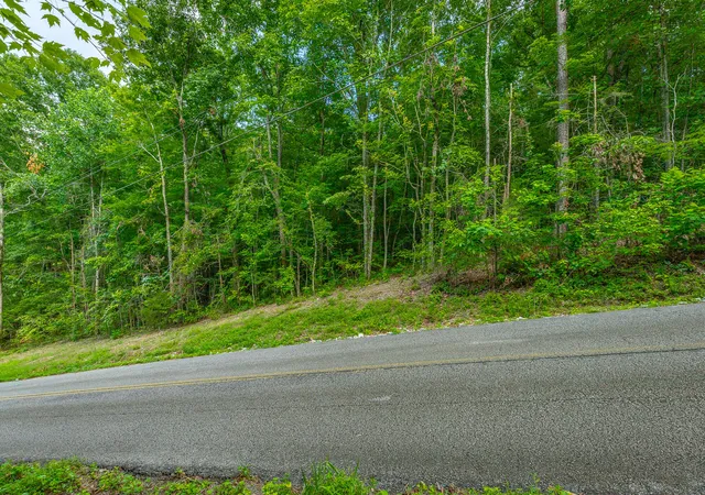 Photo 4 of Land for sale at 1005 Tanya Dr, Whitwell, TN 37397 | MLS# 1542385 | Listing updated on 2026-09-08