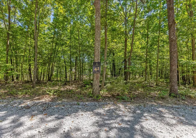 Photo 2 of Land for sale at 1537 Vulcan Rd #41, Rising Fawn, GA 30738 | MLS# 1541994 | Listing updated on 2026-09-02