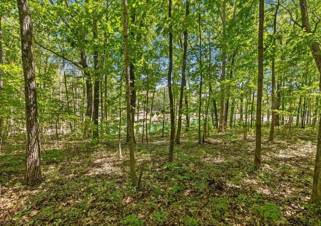 Photo 3 of Land for sale at 1537 Vulcan Rd #41, Rising Fawn, GA 30738 | MLS# 1541994 | Listing updated on 2026-09-02