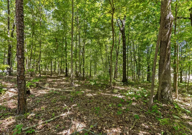 Photo 3 of Land for sale at 1537 Vulcan Rd #41, Rising Fawn, GA 30738 | MLS# 1541994 | Listing updated on 2026-09-02