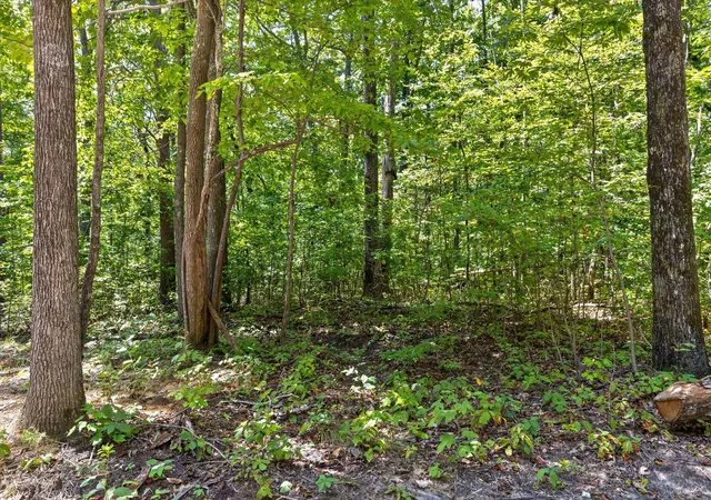 Photo 4 of Land for sale at 1537 Vulcan Rd #32, Rising Fawn, GA 30738 | MLS# 1542103 | Listing updated on 2026-09-03