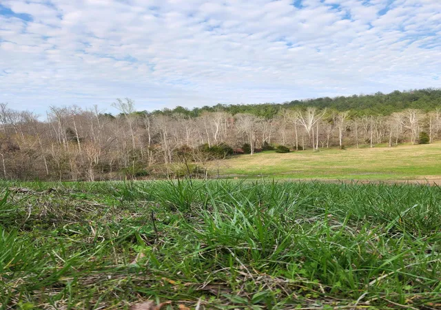 Photo 3 of Land for sale at 0 Mill Dr #7, Decatur, TN 37322 | MLS# 1542019 | Listing updated on 2026-09-28