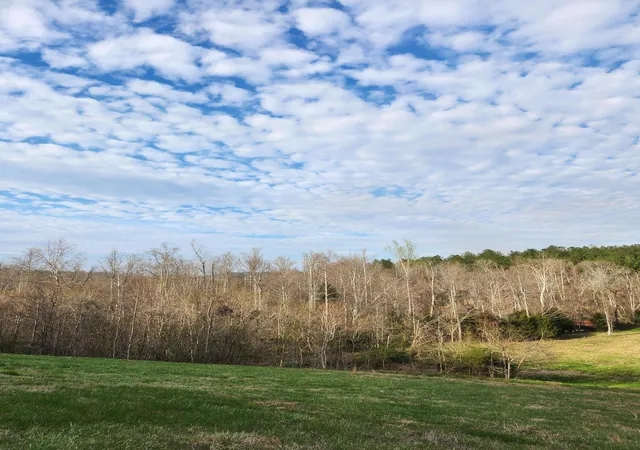 Photo 3 of Land for sale at 0 Mill Dr #7, Decatur, TN 37322 | MLS# 1542019 | Listing updated on 2026-09-28