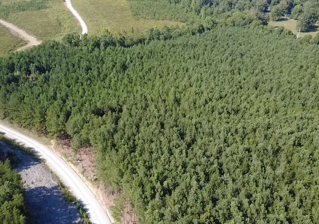 Photo 3 of Land for sale at 0 Topside Rd #98, Dunlap, TN 37327 | MLS# 1542092 | Listing updated on 2026-09-03