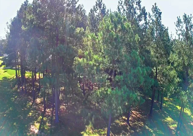 Photo 3 of Land for sale at 0 Boone Pass #JF186, Jasper, TN 37347 | MLS# 1542150 | Listing updated on 2026-09-04