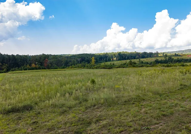 Photo 2 of House for sale at 1343 Hidden Hills Dr, Graysville, TN 37338 | MLS# 1542164 | Listing updated on 2026-09-05