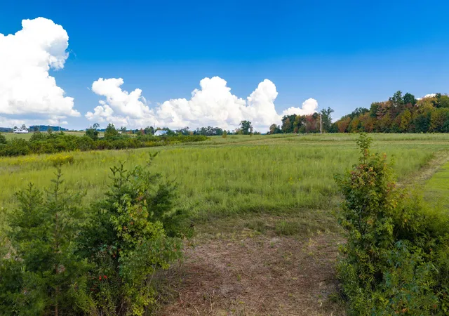 Photo 4 of House for sale at 1343 Hidden Hills Dr, Graysville, TN 37338 | MLS# 1542164 | Listing updated on 2026-09-05