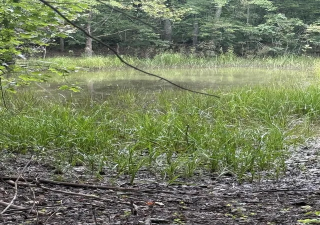 Photo 2 of Land for sale at 12 Porch Rock Rd, Pikeville, TN 37367 | MLS# 1542218 | Listing updated on 2026-09-10