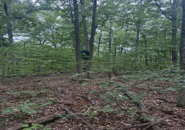 Photo 3 of Land for sale at 12 Porch Rock Rd, Pikeville, TN 37367 | MLS# 1542218 | Listing updated on 2026-09-10