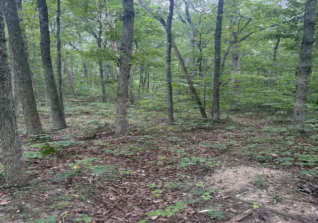 Photo 4 of Land for sale at 12 Porch Rock Rd, Pikeville, TN 37367 | MLS# 1542218 | Listing updated on 2026-09-10