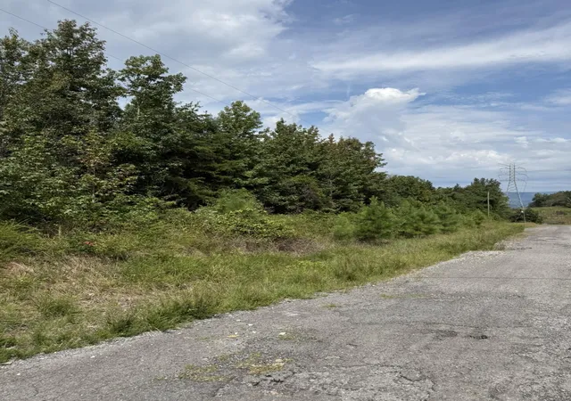 Photo 3 of Land for sale at 51 Ac County Rd 159, Bryant, AL 35958 | MLS# 1542240 | Listing updated on 2026-09-05