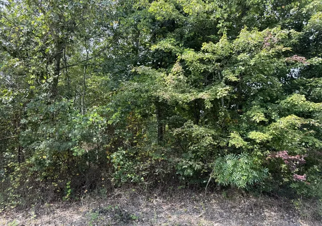 Photo 4 of Land for sale at 51 Ac County Rd 159, Bryant, AL 35958 | MLS# 1542240 | Listing updated on 2026-09-05