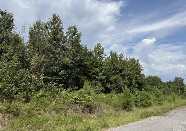 Photo 6 of Land for sale at 51 Ac County Rd 159, Bryant, AL 35958 | MLS# 1542240 | Listing updated on 2026-09-05