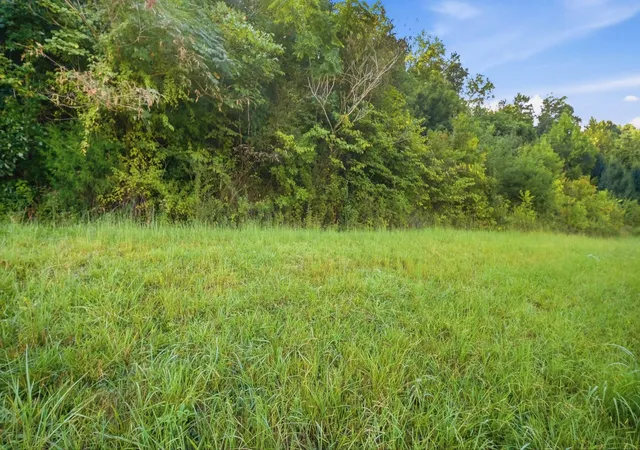 Photo 3 of Land for sale at 0 Rhea County Hwy #1-32, Dayton, TN 37321 | MLS# 1542251 | Listing updated on 2026-09-05
