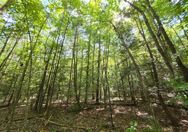 Land for sale at 8 Northcutts Cvs Rd, Beersheba Springs, TN 37305 | MLS# 1542255