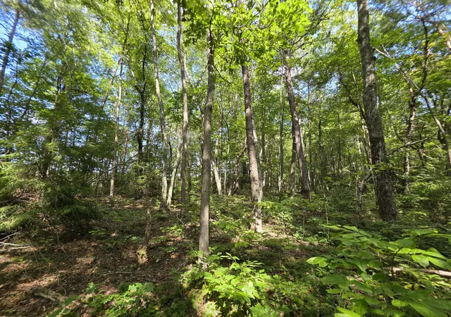 Photo 2 of Land for sale at 8 Northcutts Cvs Rd, Beersheba Springs, TN 37305 | MLS# 1542255 | Listing updated on 2026-09-05