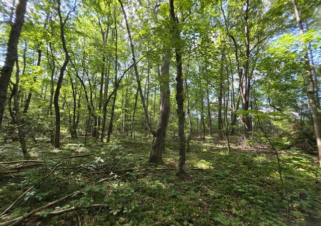Photo 3 of Land for sale at 8 Northcutts Cvs Rd, Beersheba Springs, TN 37305 | MLS# 1542255 | Listing updated on 2026-09-05