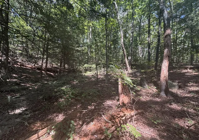 Land for sale at 00 Fort Tr Dr, Lookout Mountain, GA 30750 | MLS# 1542382
