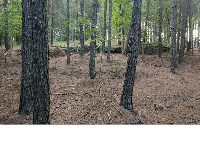 Photo 3 of Land for sale at 0 High Point Ln #79, Jasper, TN 37347 | MLS# 1542292 | Listing updated on 2026-09-06
