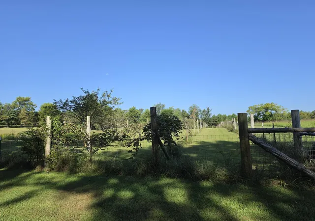 Photo 3 of House for sale at 177 Villani Farm Dr, Pikeville, TN 37367 | MLS# 1542346 | Listing updated on 2026-09-07