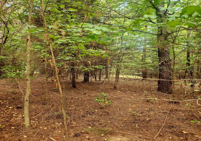 Photo 1 of Land for sale at 0 Waterview Dr #12, Spring City, TN 37381 | MLS# 1542319 | Listing updated on 2026-09-08