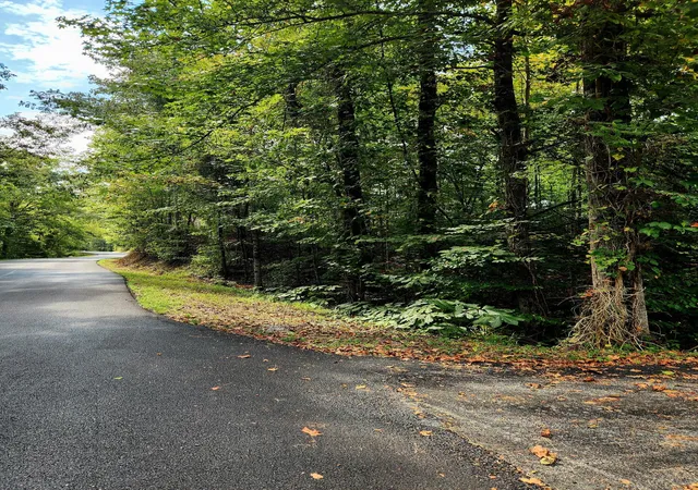 Photo 4 of Land for sale at 00 Waterview Dr #17, Spring City, TN 37381 | MLS# 1542320 | Listing updated on 2026-09-07