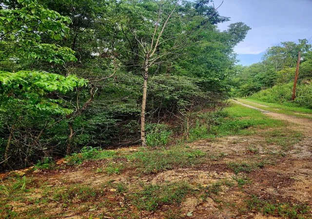 Photo 1 of Land for sale at 0 Cedar Ln #42, Spring City, TN 37381 | MLS# 1542322 | Listing updated on 2026-09-07