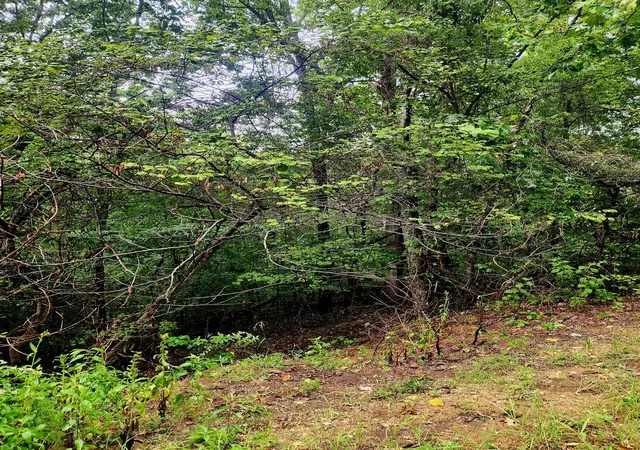 Photo 3 of Land for sale at 0 Cedar Ln #42, Spring City, TN 37381 | MLS# 1542322 | Listing updated on 2026-09-07