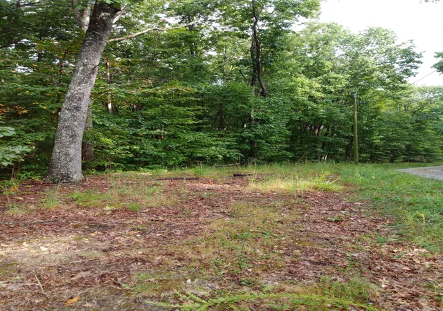 Photo 1 of Land for sale at 0 Woodland Dr #53-56, Spring City, TN 37381 | MLS# 1542324 | Listing updated on 2026-09-07