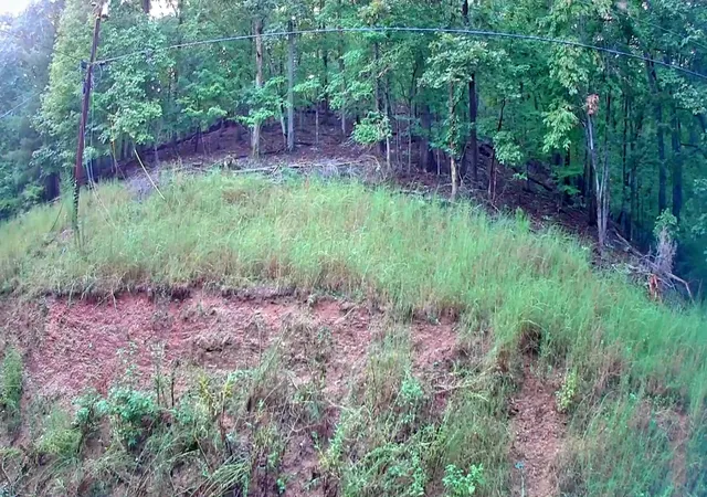 Photo 1 of Land for sale at 0 Lakeview Dr #187, Spring City, TN 37381 | MLS# 1542325 | Listing updated on 2026-09-07