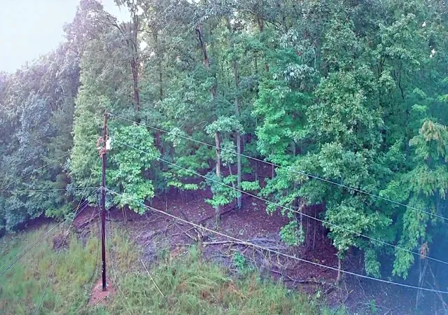 Photo 3 of Land for sale at 0 Lakeview Dr #187, Spring City, TN 37381 | MLS# 1542325 | Listing updated on 2026-09-07