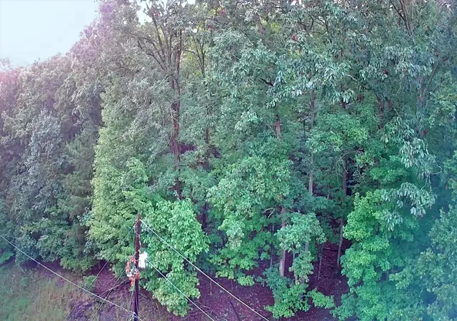 Photo 3 of Land for sale at 0 Lakeview Dr #187, Spring City, TN 37381 | MLS# 1542325 | Listing updated on 2026-09-07