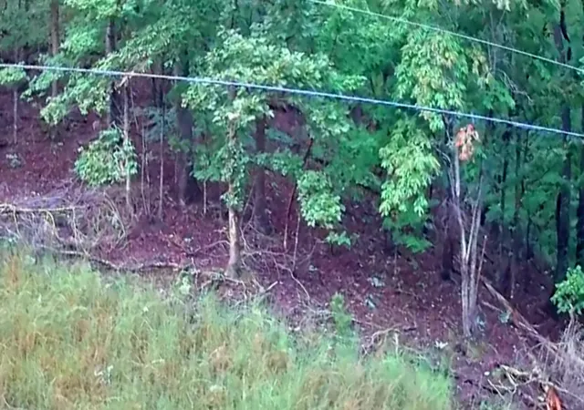 Photo 4 of Land for sale at 0 Lakeview Dr #187, Spring City, TN 37381 | MLS# 1542325 | Listing updated on 2026-09-07