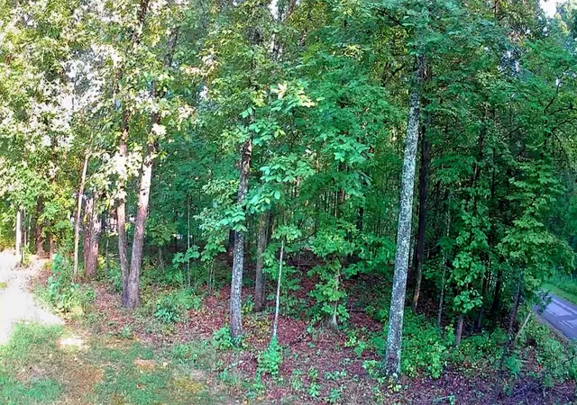Photo 1 of Land for sale at 00 Lakeview Dr #188, Spring City, TN 37381 | MLS# 1542326 | Listing updated on 2026-09-07