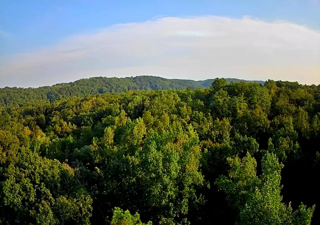 Photo 3 of Land for sale at 00 Lakeview Dr #188, Spring City, TN 37381 | MLS# 1542326 | Listing updated on 2026-09-07