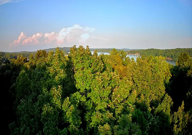 Photo 3 of Land for sale at 00 Lakeview Dr #188, Spring City, TN 37381 | MLS# 1542326 | Listing updated on 2026-09-07