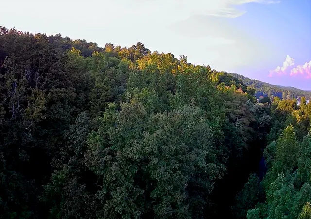 Photo 4 of Land for sale at 00 Lakeview Dr #188, Spring City, TN 37381 | MLS# 1542326 | Listing updated on 2026-09-07