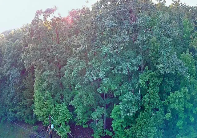 Photo 1 of Land for sale at 000 Lakeview Dr #189, Spring City, TN 37381 | MLS# 1542327 | Listing updated on 2026-09-07