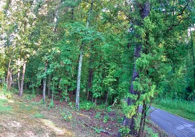 Photo 2 of Land for sale at 000 Lakeview Dr #189, Spring City, TN 37381 | MLS# 1542327 | Listing updated on 2026-09-07