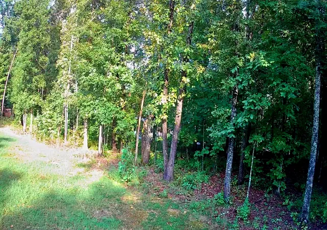 Photo 3 of Land for sale at 000 Lakeview Dr #189, Spring City, TN 37381 | MLS# 1542327 | Listing updated on 2026-09-07