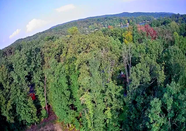 Photo 3 of Land for sale at 000 Lakeview Dr #189, Spring City, TN 37381 | MLS# 1542327 | Listing updated on 2026-09-07
