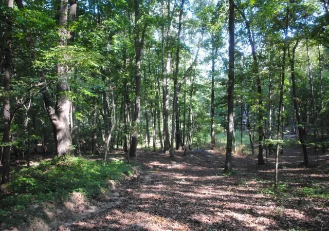 Photo 2 of Land for sale at 249 N Ridge Dr, La Fayette, GA 30728 | MLS# 1542333 | Listing updated on 2026-09-07