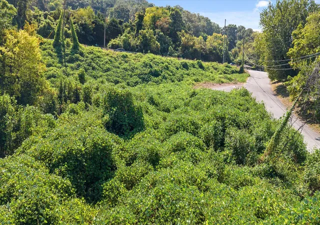 Photo 4 of Land for sale at 3105 E 26th Street, Chattanooga, TN 37407 | MLS# 1542530 | Listing updated on 2026-09-11