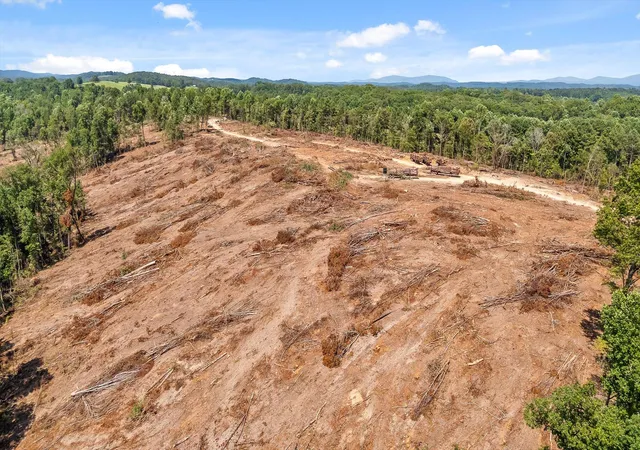 Photo 4 of Land for sale at Tract 3 Wheeler Dam Rd, Cohutta, GA 30710 | MLS# 1542434 | Listing updated on 2026-09-09