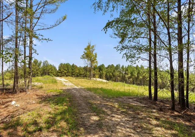 Photo 3 of Land for sale at Tract 6 Reed Rd, Tunnel Hill, GA 30755 | MLS# 1542508 | Listing updated on 2026-09-10