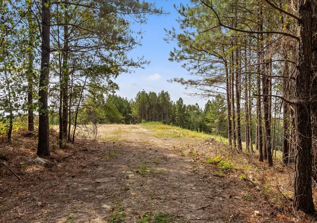 Photo 4 of Land for sale at Tract 6 Reed Rd, Tunnel Hill, GA 30755 | MLS# 1542508 | Listing updated on 2026-09-10
