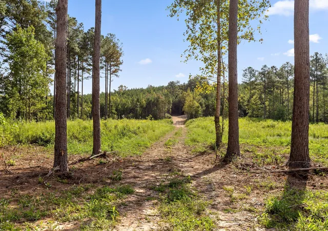 Photo 4 of Land for sale at Tract 7 Lake Kathy Rd, Tunnel Hill, GA 30755 | MLS# 1542509 | Listing updated on 2026-09-10