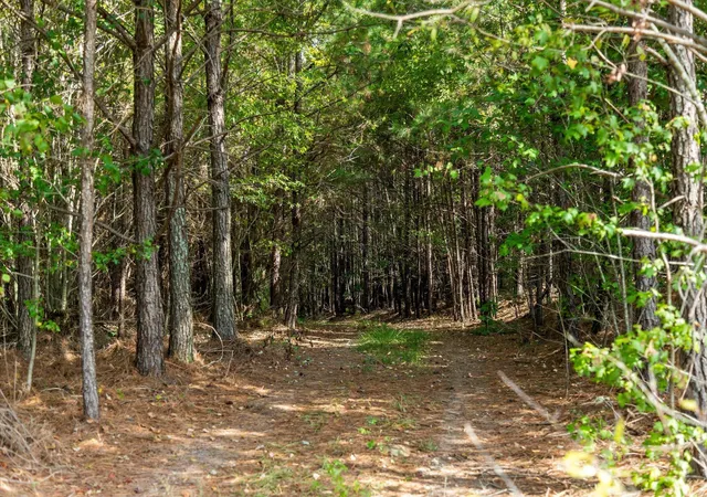 Photo 4 of Land for sale at Tract 8 Lake Kathy, Tunnel Hill, GA 30755 | MLS# 1542511 | Listing updated on 2026-09-10