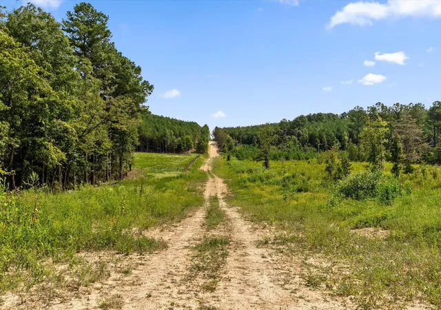 Photo 3 of Land for sale at Tract 9 Lake Kathy Rd, Tunnel Hill, GA 30755 | MLS# 1542512 | Listing updated on 2026-09-10